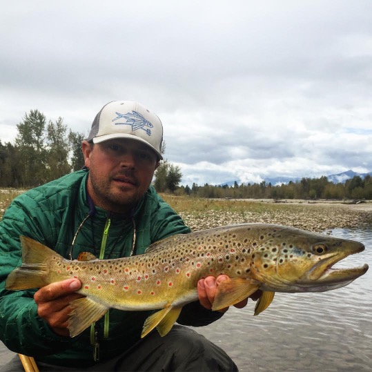 Montana Fly Fishing, Bitterroot Brown Trout
